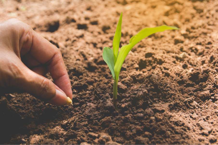 DE Сельское хозяйство